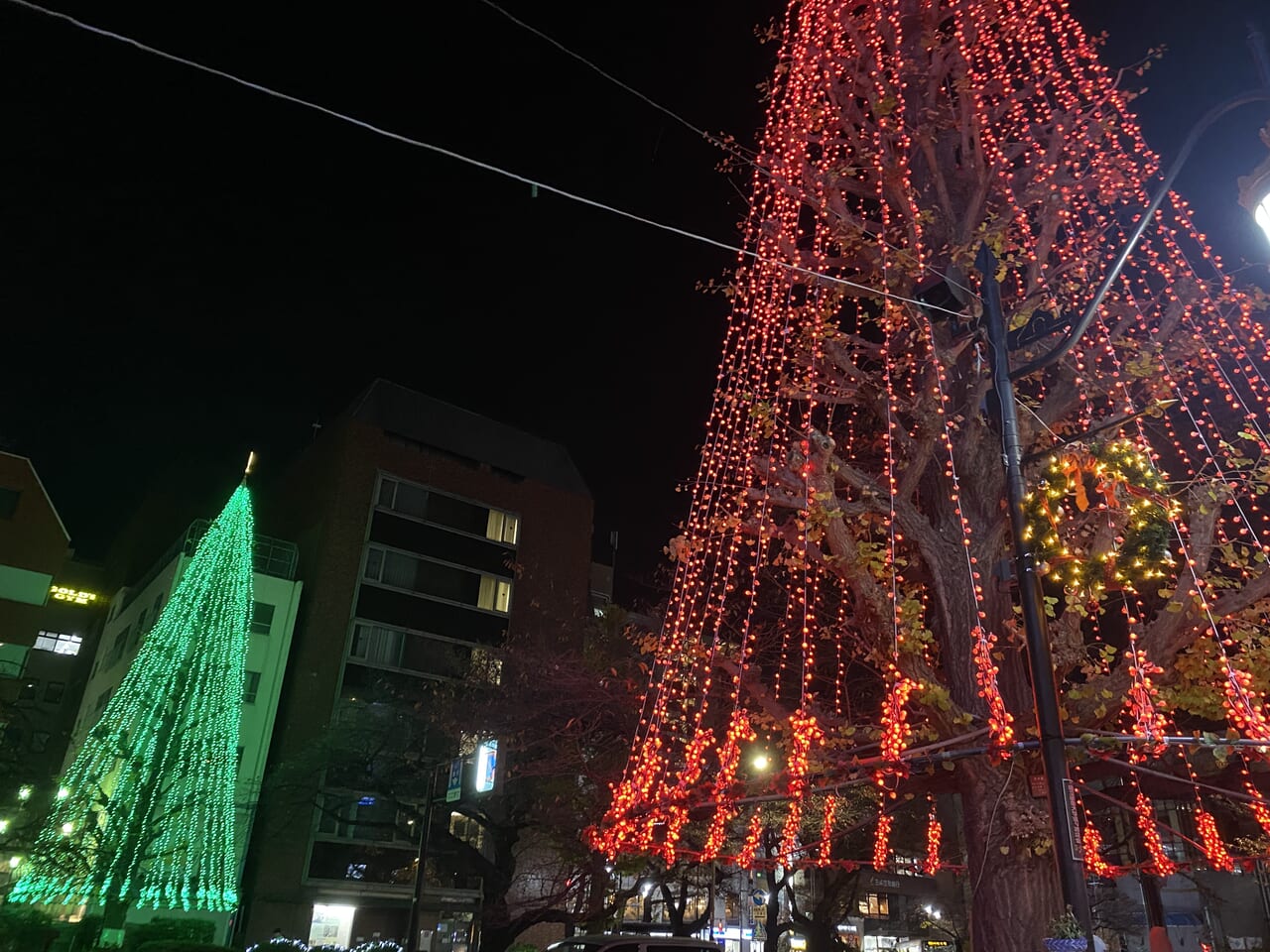 クリスマスツリー