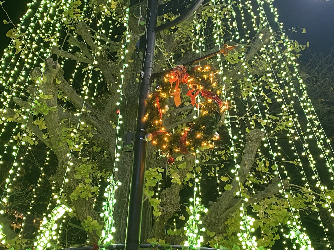 クリスマス