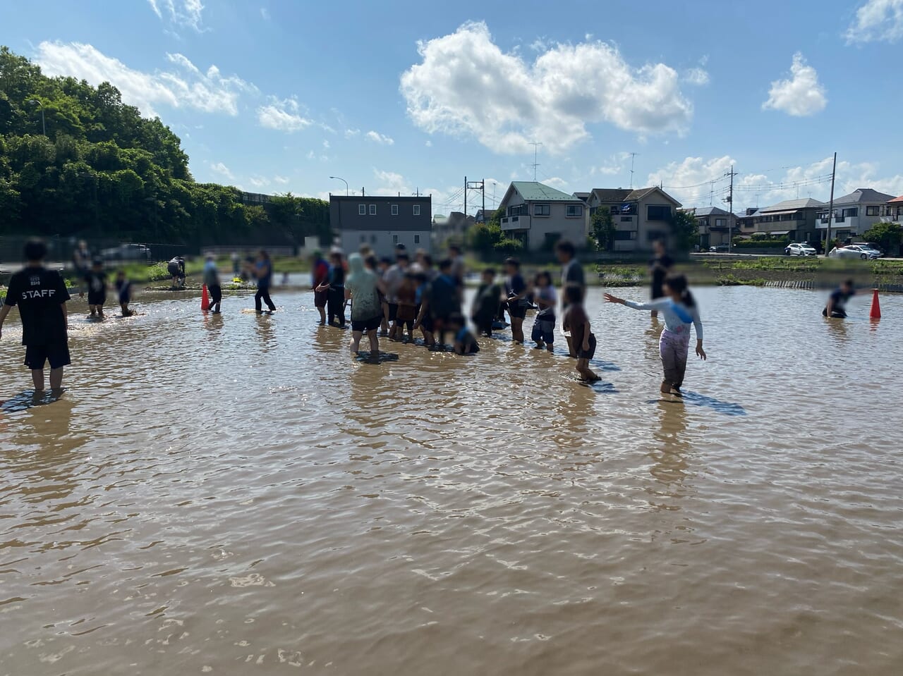 田んぼ