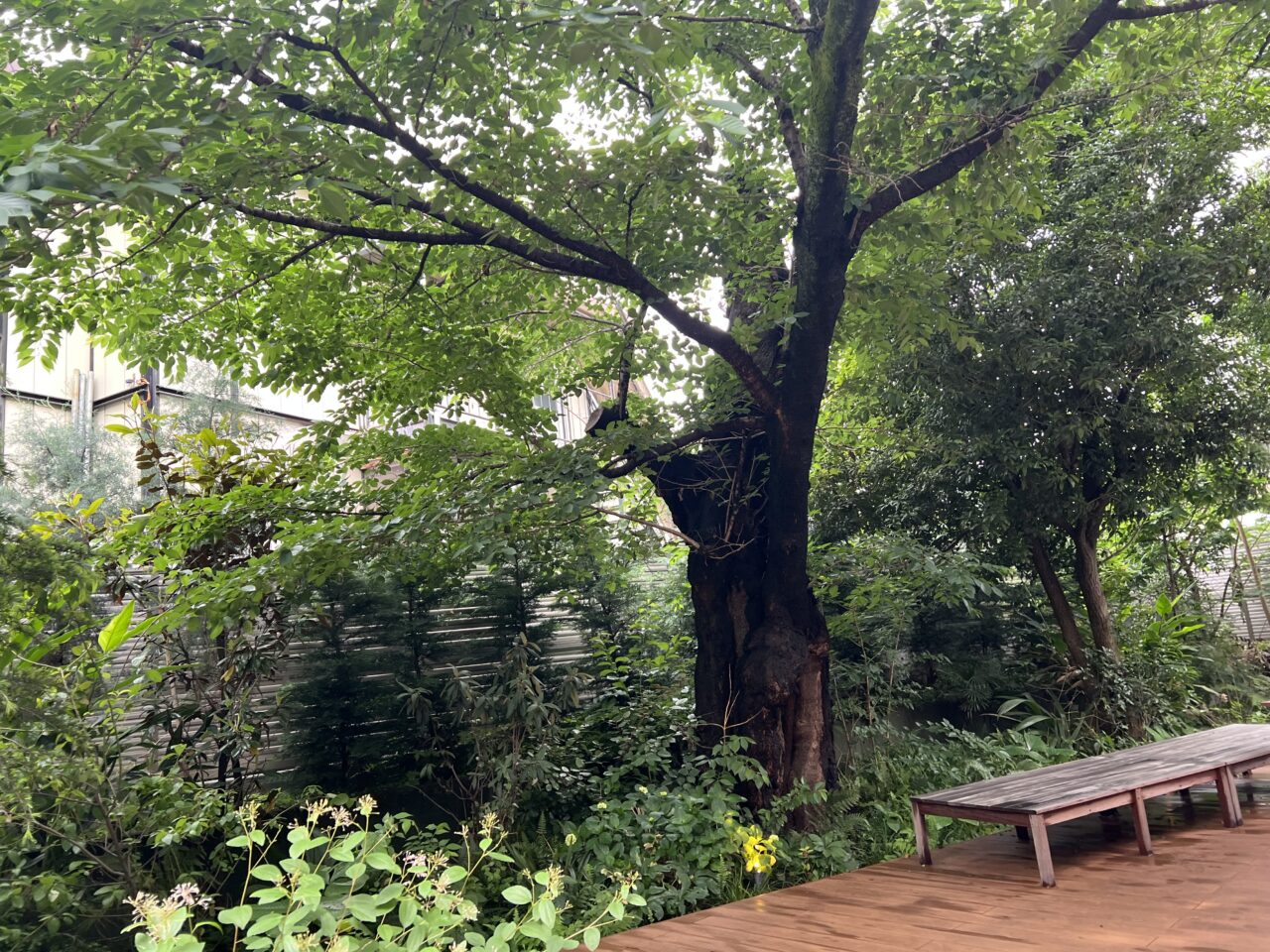 goodcoffeeのテラス席